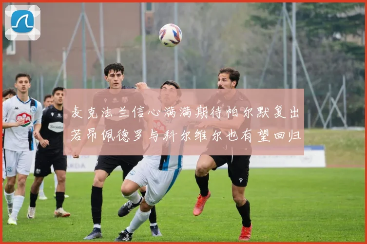 麦克法兰信心满满期待帕尔默复出若昂佩德罗与科尔维尔也有望回归