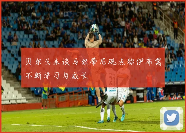贝尔戈米谈马尔蒂尼观点称伊布需不断学习与成长